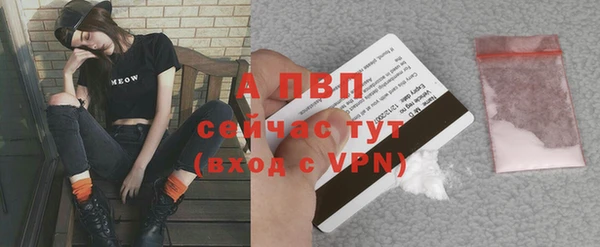 jwh Гусь-Хрустальный